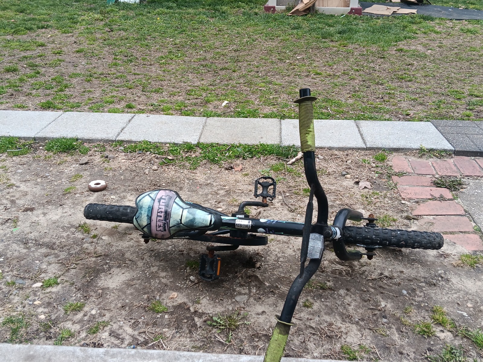 teenage mutant ninja turtles Real Bike