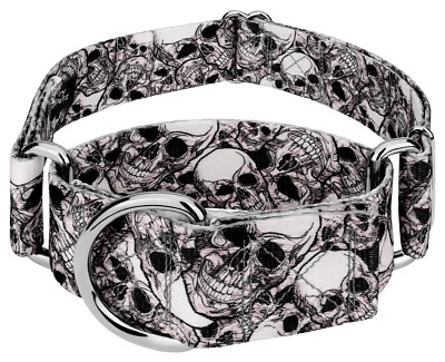 Country Brook Petz® 1 1/2 Inch Phantom Skulls Martingale Dog Collar