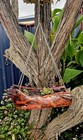 Hand made Wood log flower hanger and pot