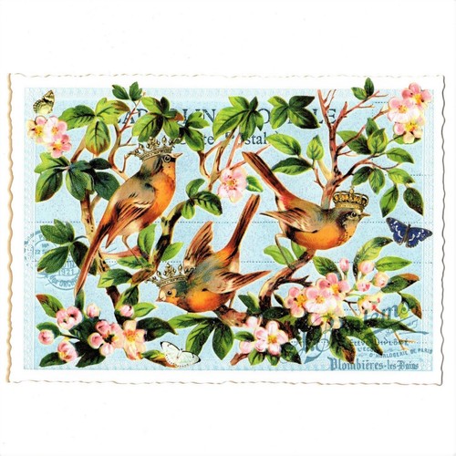 Edition Tausendschön | Postkarte A6 | Flora & Fauna | Motiv wählbar - Bild 68 von 78