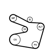 Keilrippenriemensatz für BMW 3-er E46 5-er E39 7-er E38 X5 E53 Z3 E36 id55584