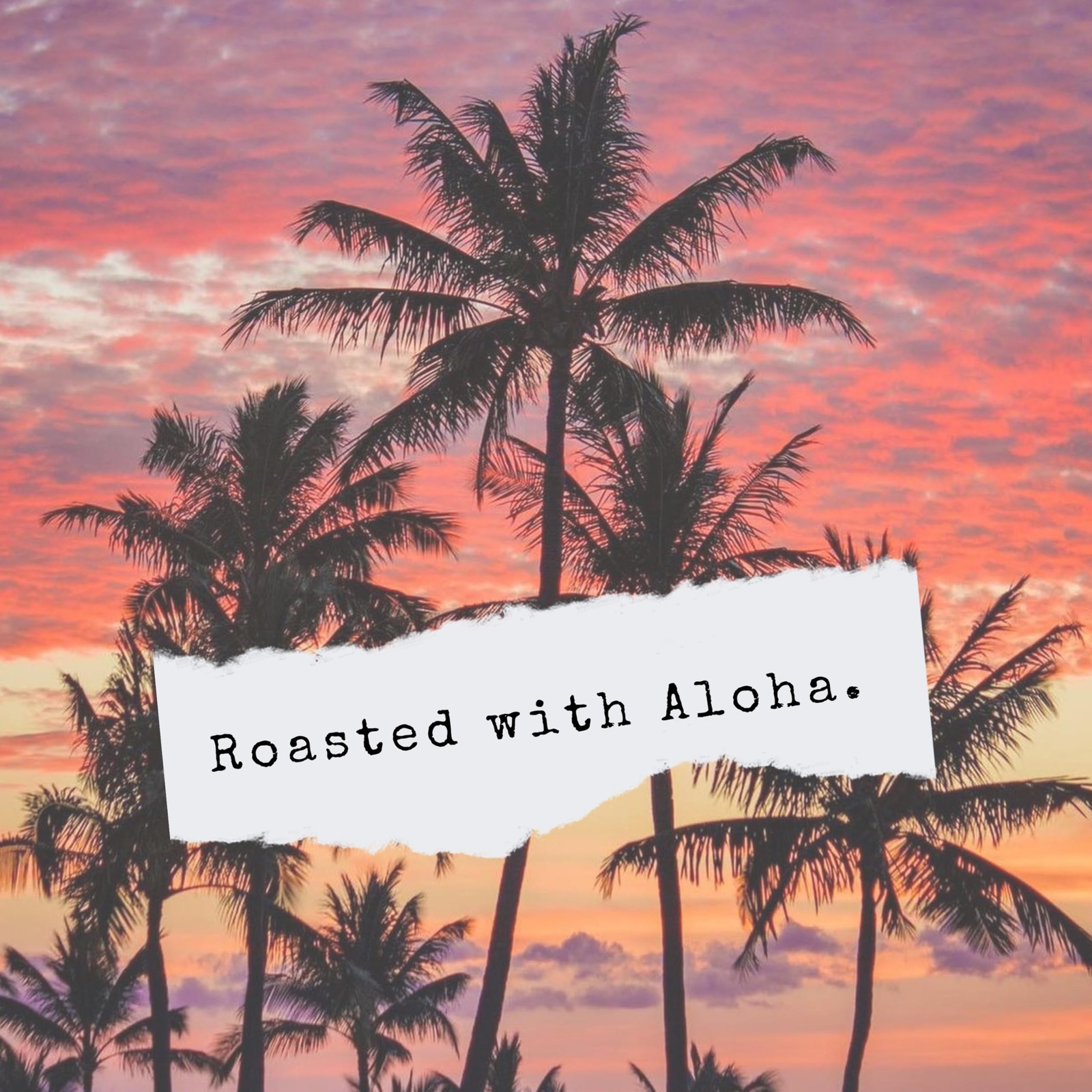 Hawaiian Isles Coffee Aloha Breakfast Blend 8oz Premium Arabica Bold Flavor