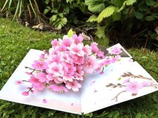 Beautiful 3D Pop Up Cherry Blossom Greetings Card Birthday Anniversary Love