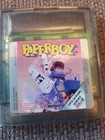 Paperboy - (Nintendo Game Boy Color, 1999) Ohne Verpackung