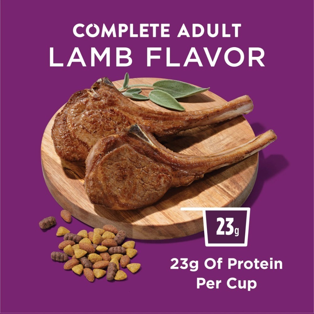 High Protein Lamb Recipe plete Dry Dog Food for Adult Dogs 44 lb Bag