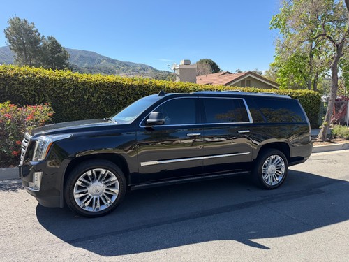 2019 Cadillac Escalade ESV PLATINUM