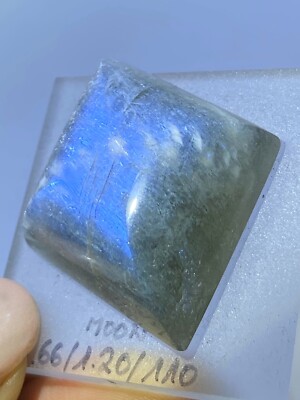 MONDSTEIN (91.66ct) Moonstone Freeform Cabochon Tanzania