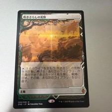 MTG Windswept Heath Single Card - Near Mint Condition - Japanese Edition