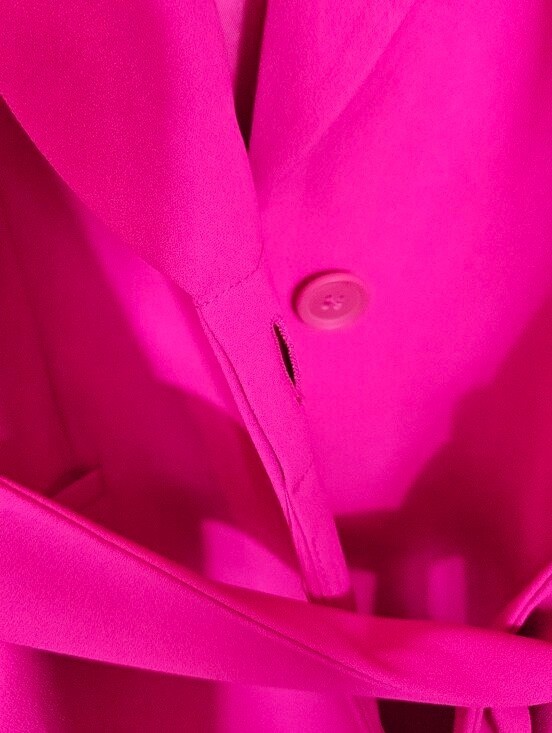 Zara | Fuchsia Belted Tuxedo Collar Blazer image 9