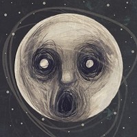 Steven Wilson - Raven That Refused To Sing - Cd - G4Z