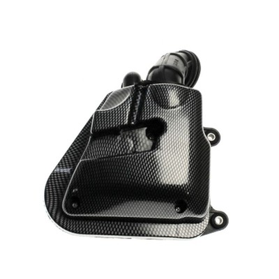 Luftfilter Box Carbon Look für Kreidler Galactica 2.0 50 DD 2T Bj.11-14