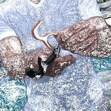 hoo(key) Flip-Over Cover