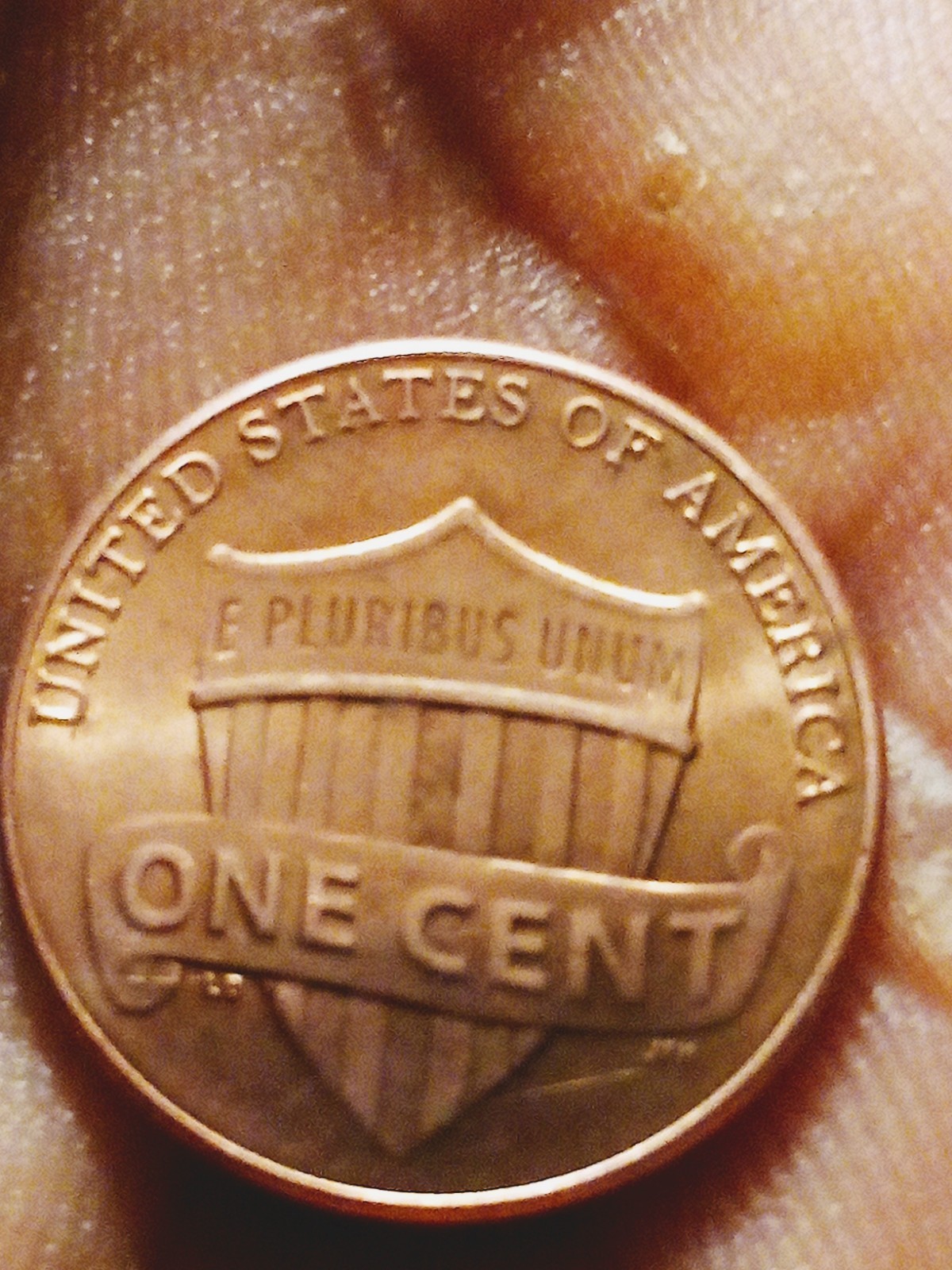 Picture 9 of 12