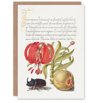 Modellbuch der Kalligraphie Kunstkarte Türken Mütze Lilie Figur und Käfer