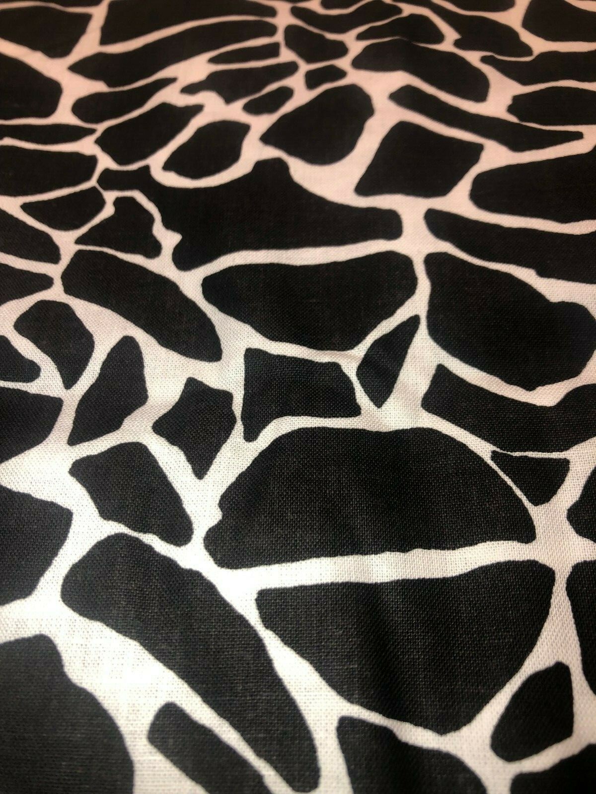 Picture 1 of 6