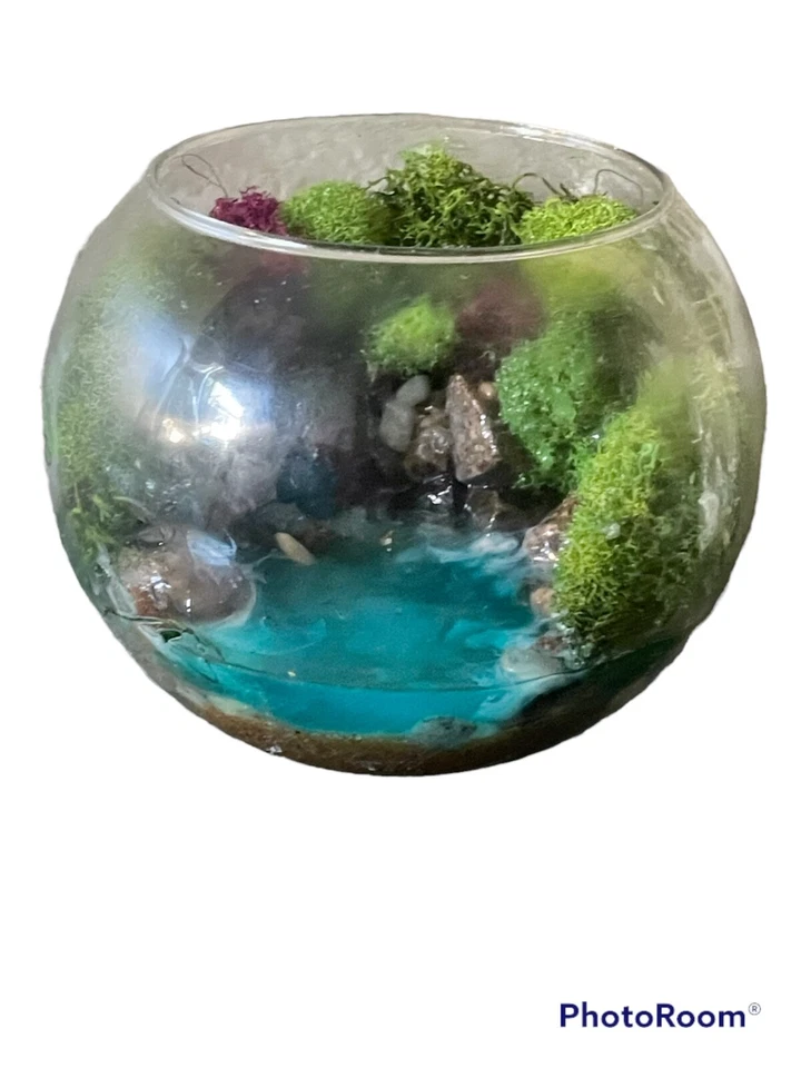 planta terrario cristal Foto 3 de 3