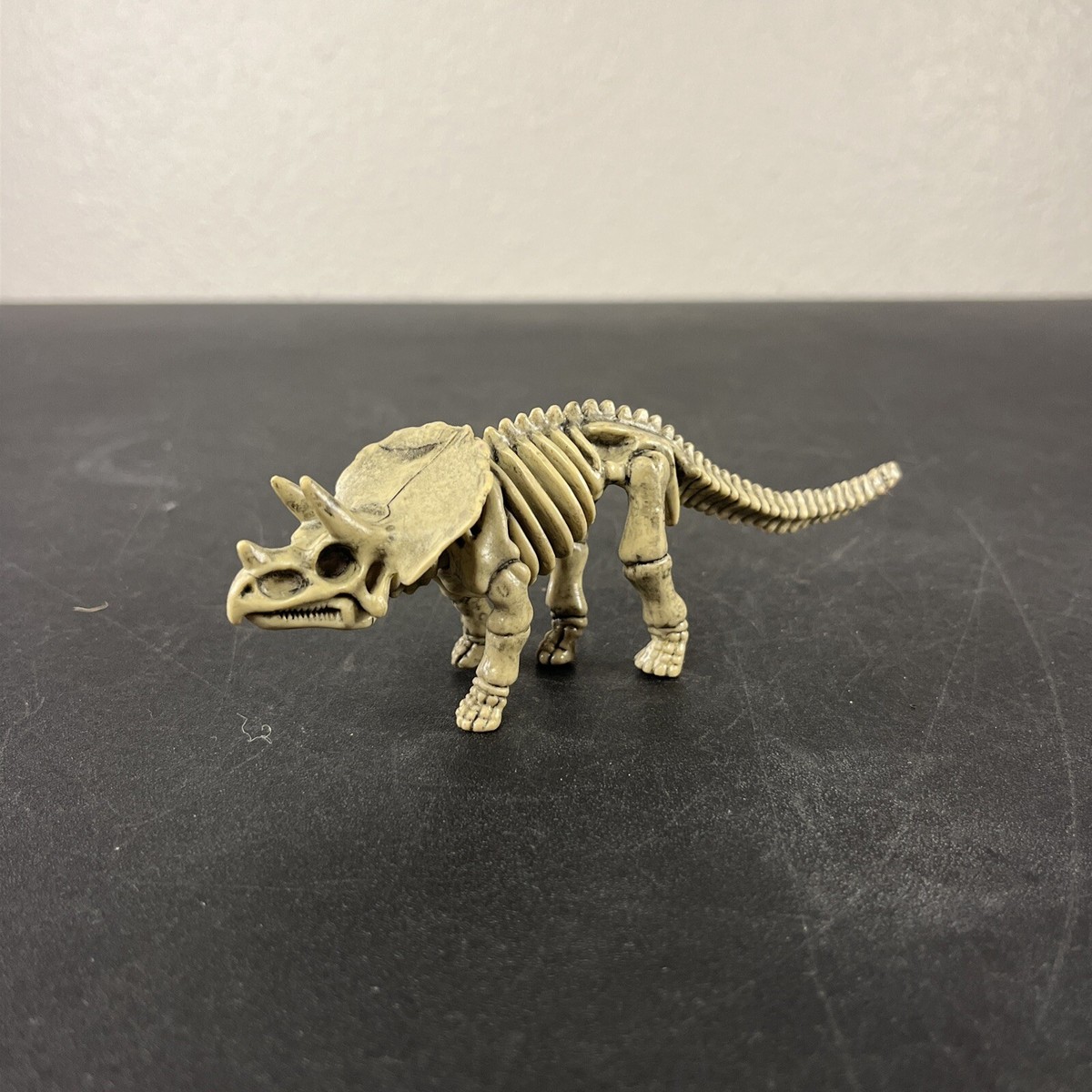 TRICERATOPS DINOSAUR 5.5” SKELETON MODEL FIGURE! | eBay
