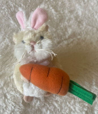 LN GANZ WEBKINZ MAZIN' EASTER BUNNY HAMSTER with CARROT WE000822 1ST ED - RARE