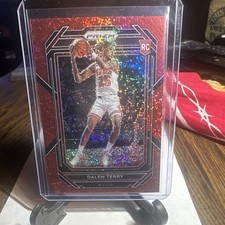 Panini 2022-23 Prizm Red Sparkle Prizm Rookie Dalen Terry #240 Bulls