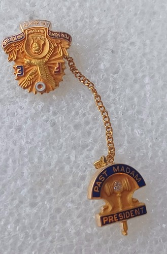 Vtg 50's 10K Gold Diamond Chip FOE Past Madam President Pin 3.8 G