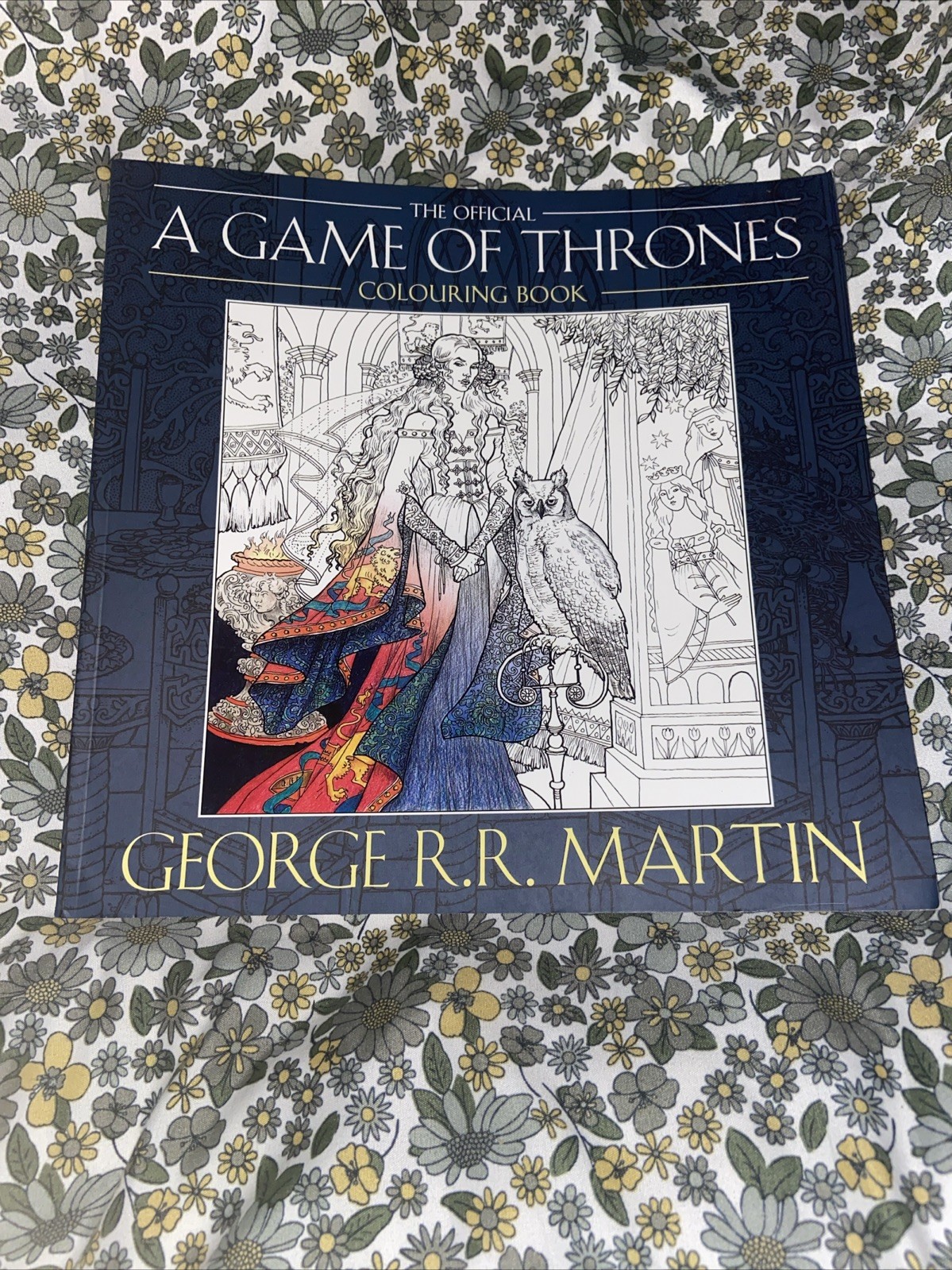 The Official A Game of Thrones Colouring Book by George R.R. Martin (Paperback,…-image