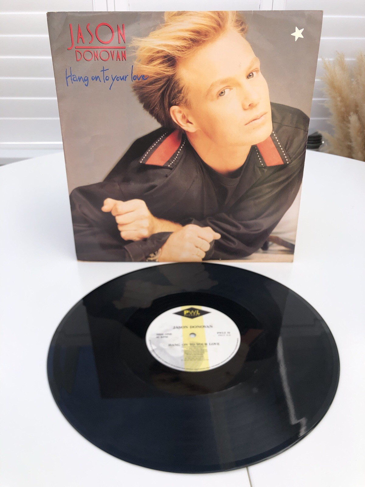 JASON DONOVAN HANG ON TO YOUR LOVE PWLT51 1990 12” SINGLE VINYL RECORD
