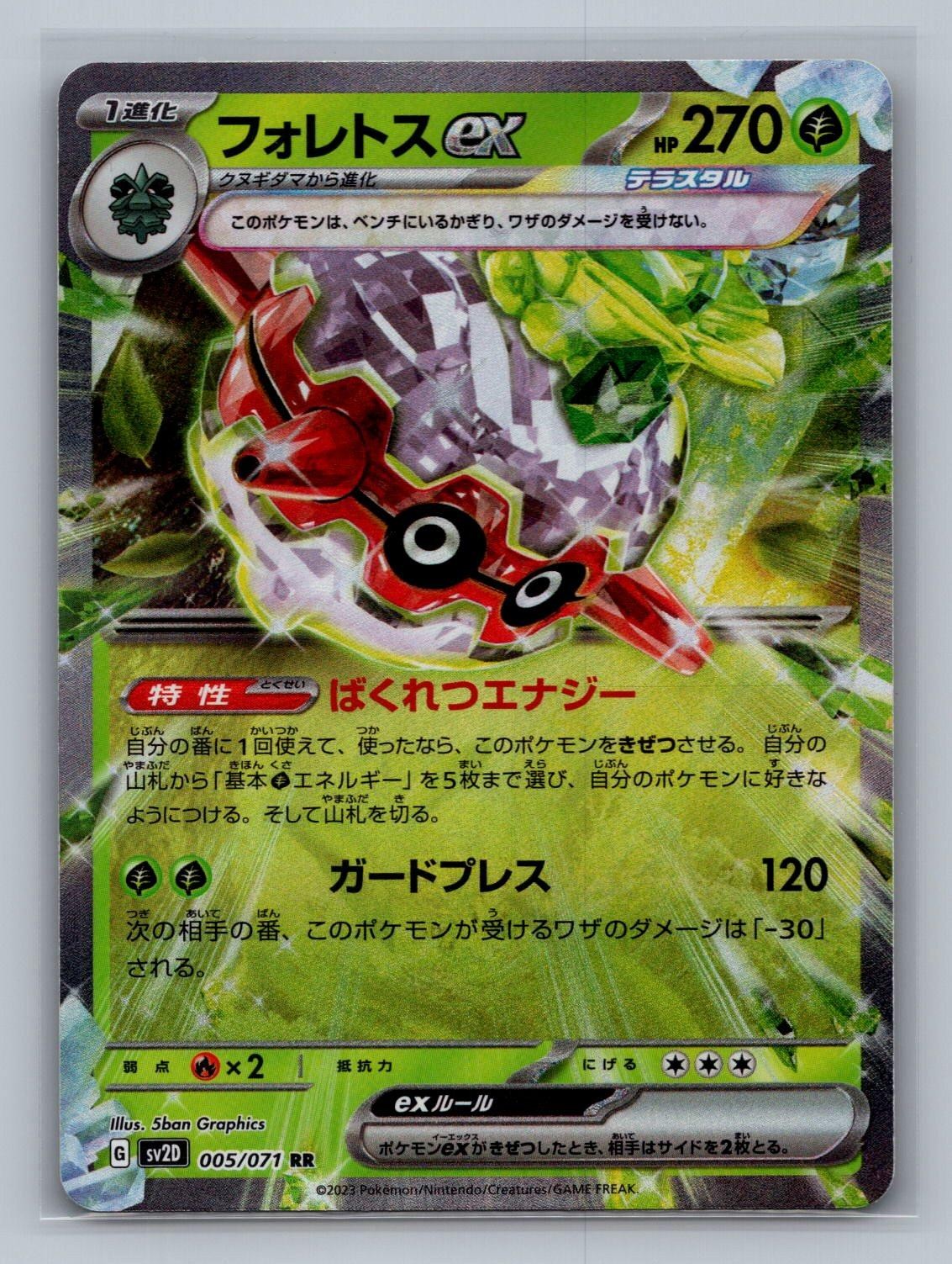 Forretress EX 005/071 Double Rare Clay Burst Pokemon Japanese Holo Near Mint
