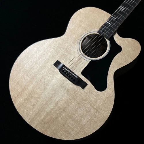 Gibson G-200 EC