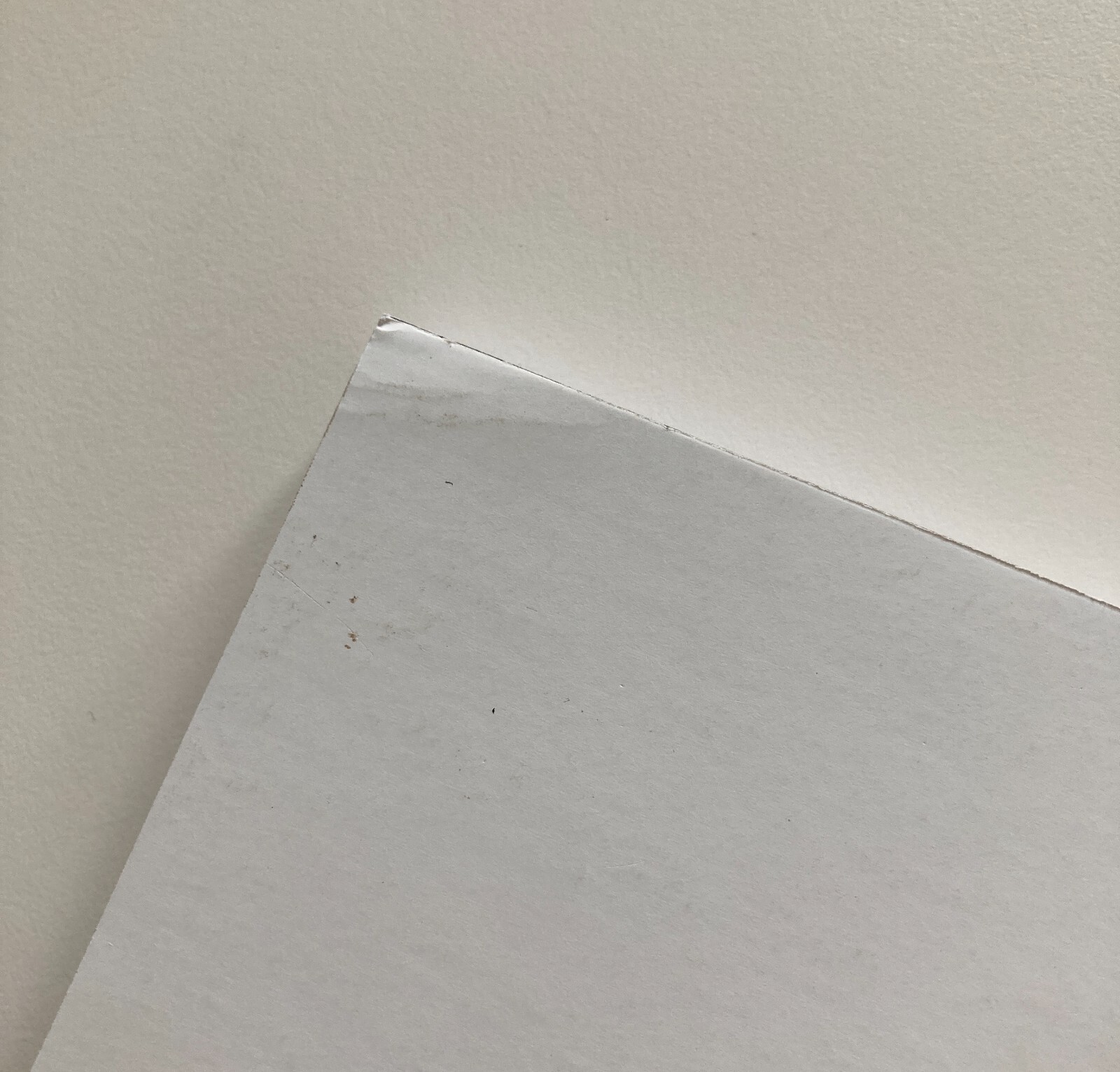 Picture 6 of 24
