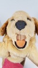 Bild 13 von 15