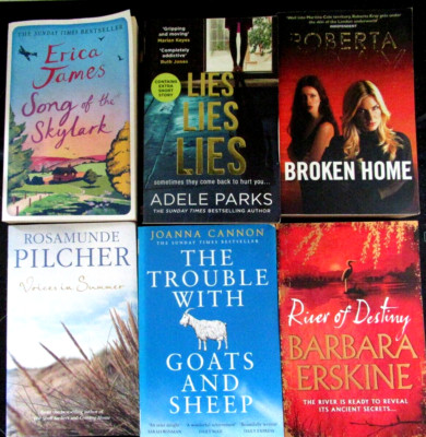 GREAT SUMMERTIME READS OF FAMILY SAGA'S, LOVE, HOPE AND MYSTERY ~ 6 BOOK BUNDLE