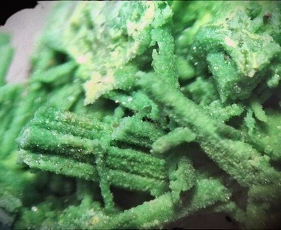 Tsumeb Mine Rarity-Bayldonite  Pseudomorph Mimetite Crystals