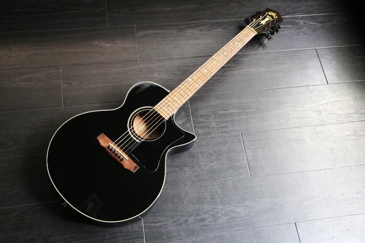 GUILD SongBird (no260310) | eBay