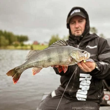 Rapala Crushcity The Kickman Lures NEW Perch Pike Predator Floating Lures *Full 