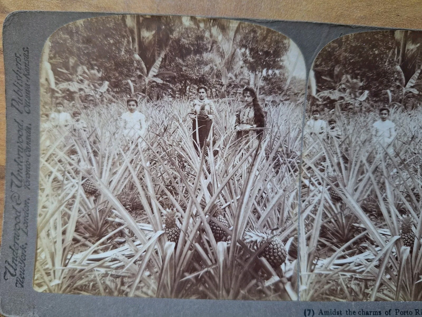 Picture 2