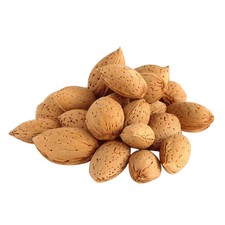 Whole Almonds In Shell  Fresh Natural Almond Nuts  Premium Snack  Free Ship