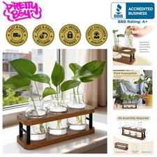 Compact 3-Jar Plant Propagation Station - Stylish Indoor Decor for Garden Lovers