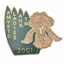 AMVETS Ladies Auxiliary Tennessee 2001 Pin Gold Tone Enamel Veteran Collectible