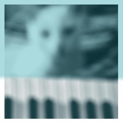 Peter Broderick - Piano Works Vol. 1 (floating In Tuckers Basement) [New Vinyl L