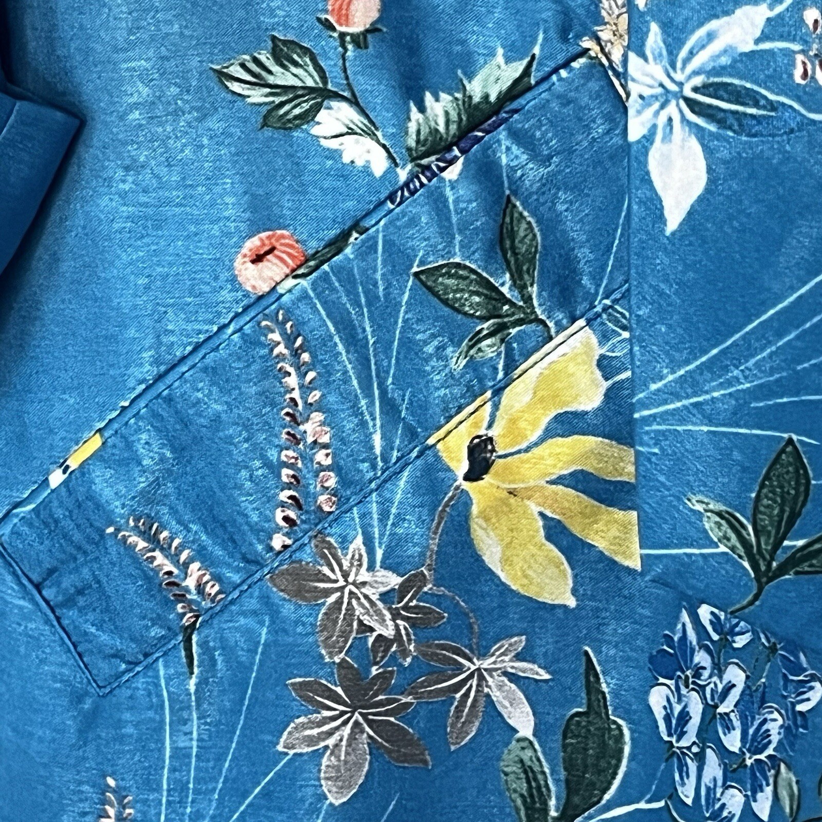 Picture 6 of 10