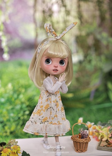 Elfenohren/Normale Ohren BJD Puppe 1/6 Mädchen Harzgelenke große Augen Perücke Kleidung SET Spielzeug - Bild 7 von 30
