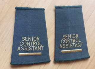 Epaulettes Green Ambulance Senior Control Assistant epaulette sliders Badges tv