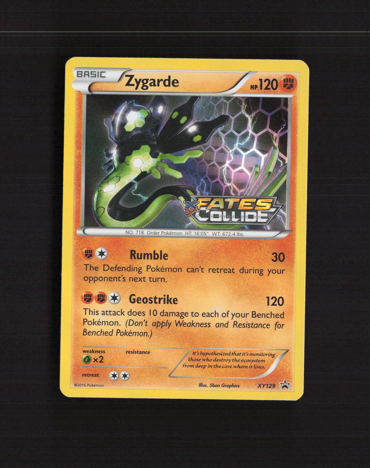Zygarde XY129 XY Promos Stamped Black Star Promo Holo Pokemon Card LP
