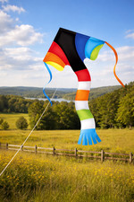 Super Flier Kite 46" Easy Flyer Rainbow Tail Beginner Friendly