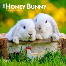 BrownTrout,  Honey Bunny 2026 Mini Wall Calendar, 7'' X 7'', 16-Month Calendar w