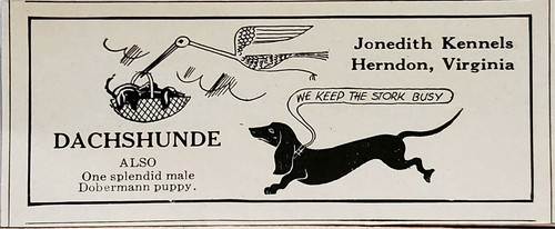 Jonedith Kennels Daschund(e) 1934 DRUCKANZEIGE Edith Groves Storch Logo Virginia - Bild 2 von 2