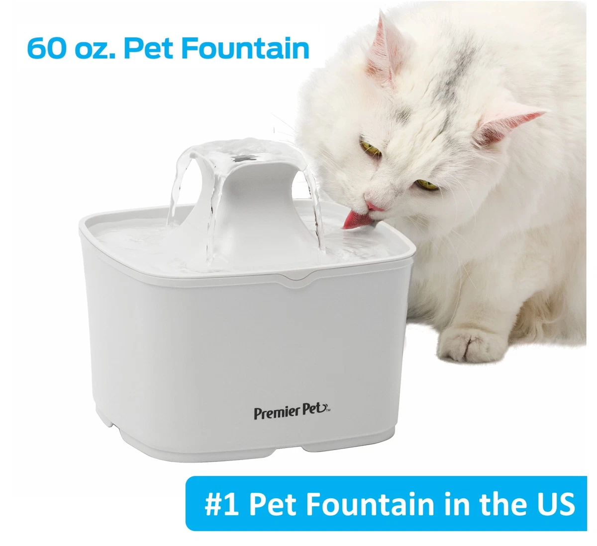 Cat flowing top water fountain