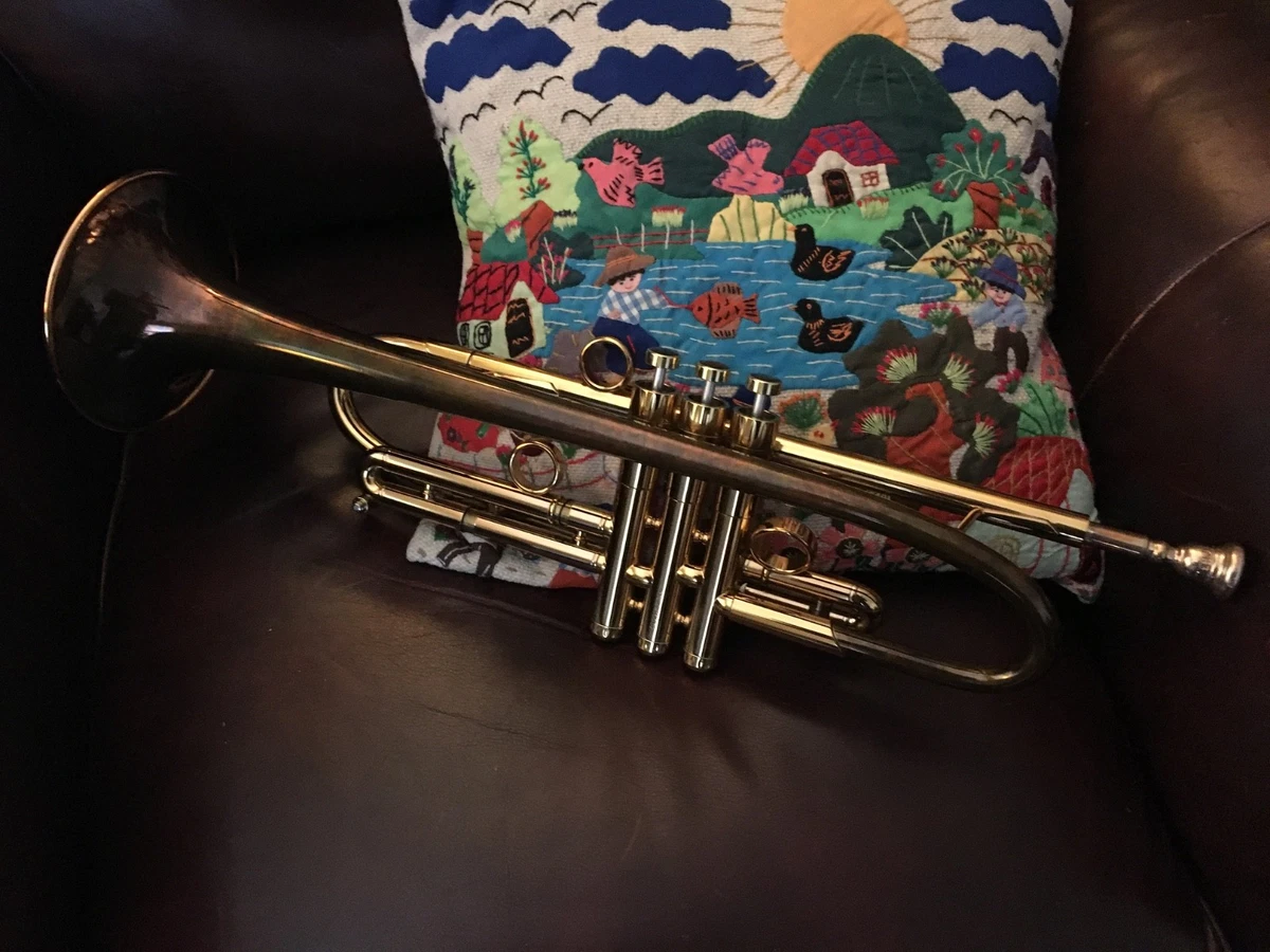 Taylor Trumpets for sale | eBay