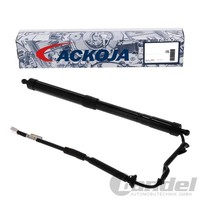 Ackoja Elektrischer Heckklappen Lifter Links Passend FüR Toyota RAV | A70-55-000