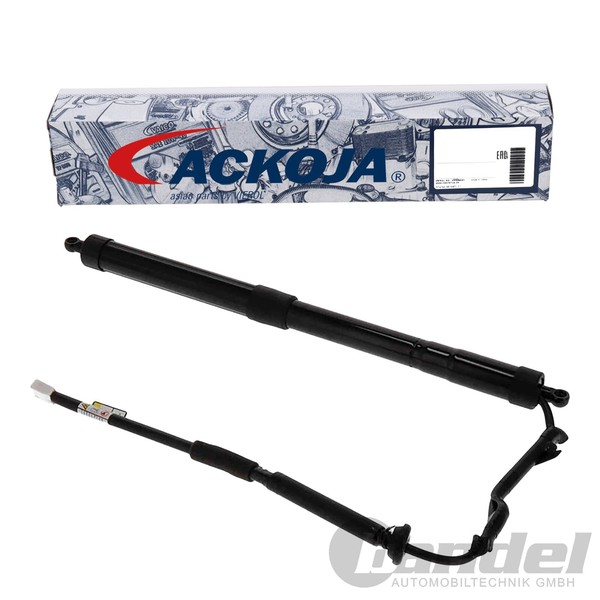 Ackoja Elektrischer Heckklappen Lifter Links Passend FüR Toyota RAV | A70-55-000-image